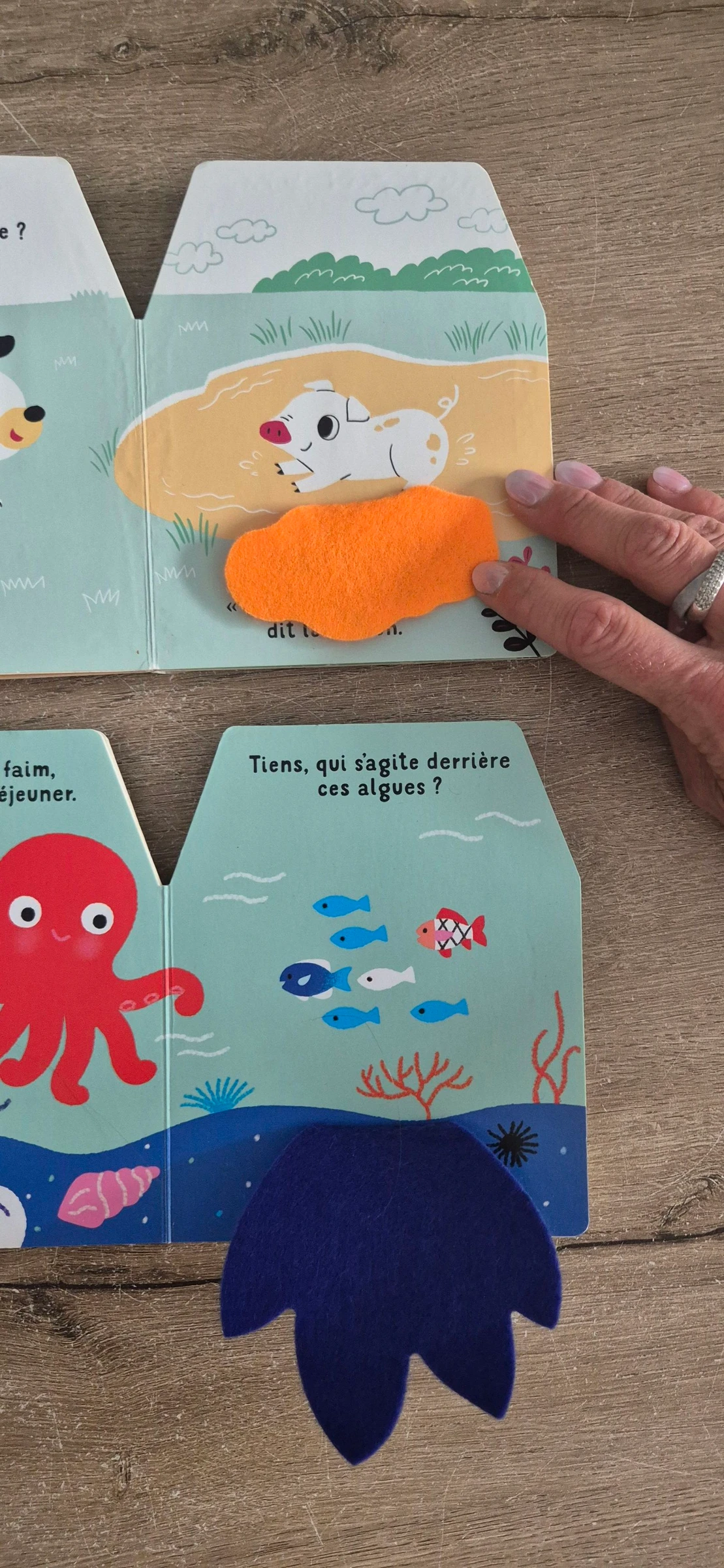 Lote de livros Cache-cache em feltro – photo 6